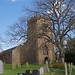 Martha Ellison Photo 10