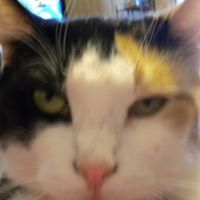 Minnie Bailey Photo 14