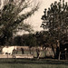 Ronald Quick Photo 8