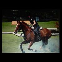 Stephanie Sylvestre Photo 22