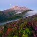 Helen Summers Photo 17