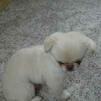 Jean Little Photo 21