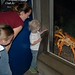 Cindy Hanson Photo 11