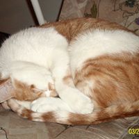 Kelly Wooten Photo 31