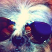 Harry Lam Photo 31