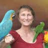 Arlene Powers Photo 24