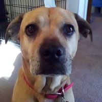 Cheryl Garrison Photo 5
