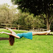 Jillian Bush Photo 4