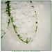 Janice Snow Photo 12