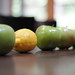 Steve Lemons Photo 22