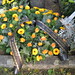 Mike Potts Photo 15