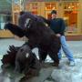 Michael Churchill Photo 30