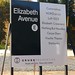 Elizabeth Grubb Photo 22