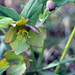 David Culp Photo 40