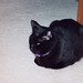 Betty Moody Photo 15