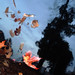 Dawn Wright Photo 33