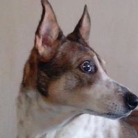 Betty Benitez Photo 13
