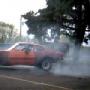 Dave Noble Photo 23