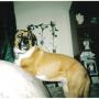 Bobbi Conner Photo 12