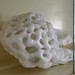 Alice Lang Photo 22