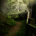 Kelley Howe Photo 23