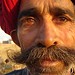 Shepherd Shepherd Photo 12