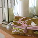 Amy Rule Photo 22