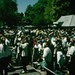 Wayne May Photo 33