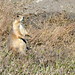 Robin Merritt Photo 9