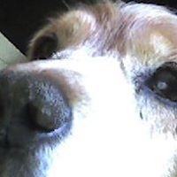 Clifford Thomas Photo 9