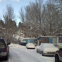 Bruce Reynolds Photo 22