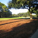 Hilton Jones Photo 11