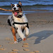 Sandy Schaefer Photo 18