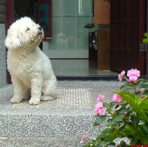 Ivy Chen Photo 4