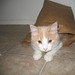 Buff Oliver Photo 2