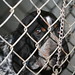 Rhonda Anderson Photo 10