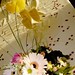Nicole Buck Photo 18