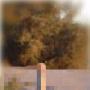 Terrance Payne Photo 18