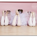 Heather Carroll Photo 12
