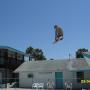 Josh Triplett Photo 19