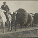 Frederick Hays Photo 3