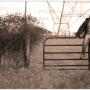 Michael Saia Photo 17