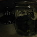 Catherine Pickle Photo 12