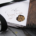 Renee Seals Photo 11