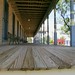 Anna Frazier Photo 14