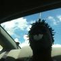Robert Pickens Photo 34