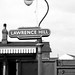 Lawrence Hill Photo 19