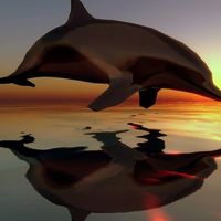 Debra Meeks Photo 17