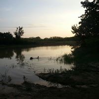 Vern Martin Photo 15