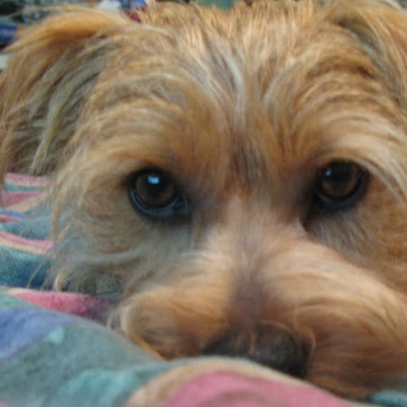 Edward Bear Photo 12